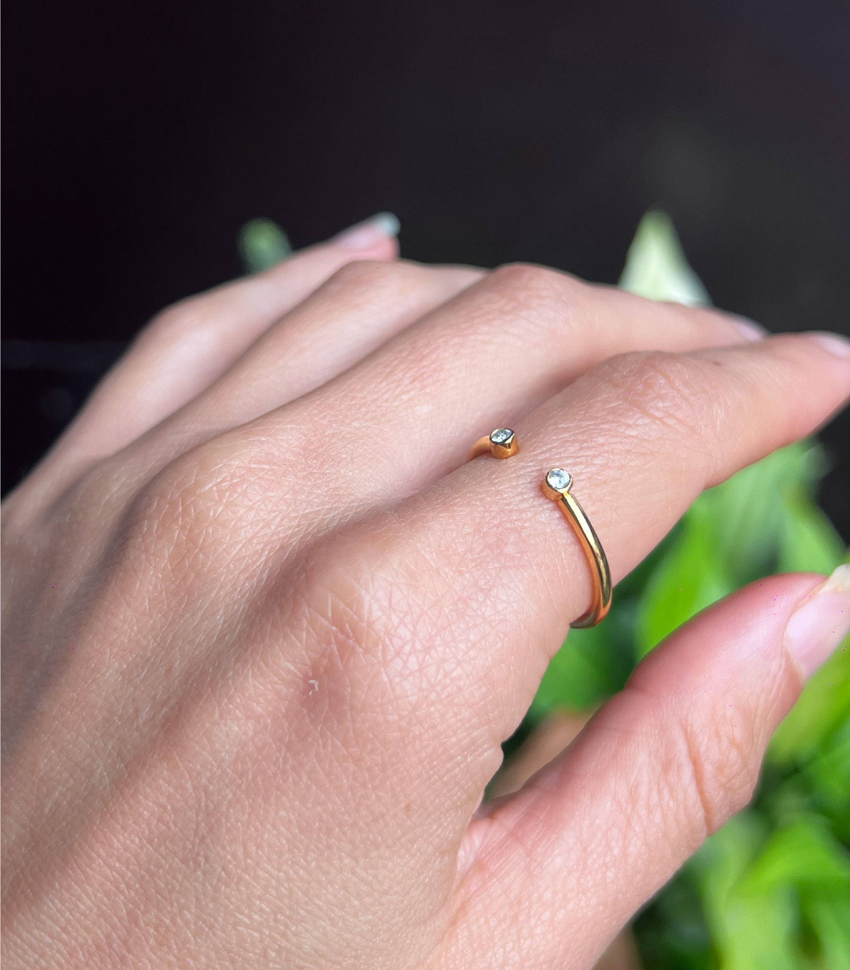 ANILLO DOS CIRCONIAS